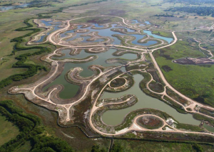 Mapa: humedales e urbanização na bacia do Rio Luján